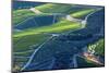 Portugal, Douro Valley, Terraced Vineyards Lining the Hills-Terry Eggers-Mounted Photographic Print
