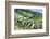 Portugal, Douro Valley, Terraced Vineyards Lining the Hills-Terry Eggers-Framed Photographic Print