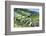 Portugal, Douro Valley, Terraced Vineyards Lining the Hills-Terry Eggers-Framed Photographic Print