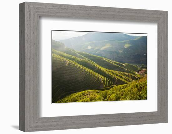 Portugal, Douro Valley, Terraced Vineyards Lining the Hills-Terry Eggers-Framed Photographic Print