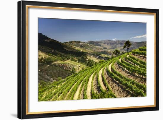 Portugal, Douro Valley, Terraced Vineyards Lining the Hills-Terry Eggers-Framed Photographic Print