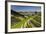 Portugal, Douro Valley, Terraced Vineyards Lining the Hills-Terry Eggers-Framed Photographic Print