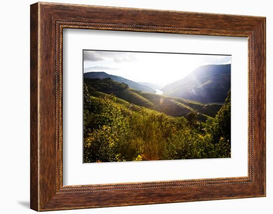 Portugal, Douro Valley, Terraced Vineyards Lining the Hills-Terry Eggers-Framed Photographic Print