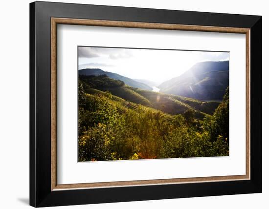 Portugal, Douro Valley, Terraced Vineyards Lining the Hills-Terry Eggers-Framed Photographic Print