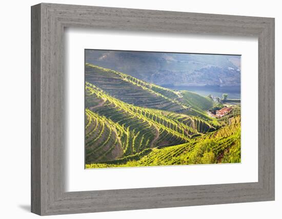 Portugal, Douro Valley, Terraced Vineyards Lining the Hills-Terry Eggers-Framed Photographic Print