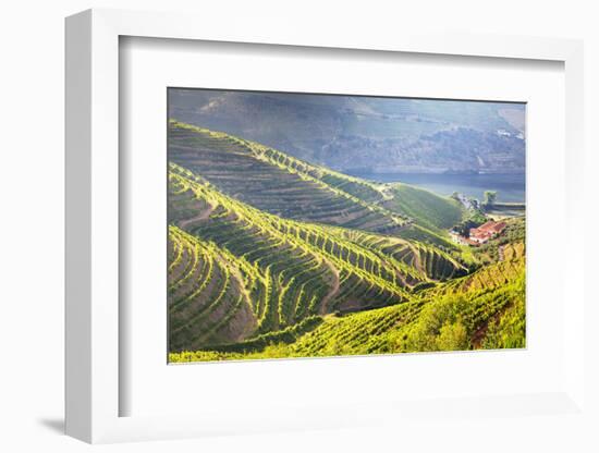 Portugal, Douro Valley, Terraced Vineyards Lining the Hills-Terry Eggers-Framed Photographic Print