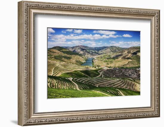 Portugal, Douro Valley, Terraced Vineyards Lining the Hills-Terry Eggers-Framed Photographic Print