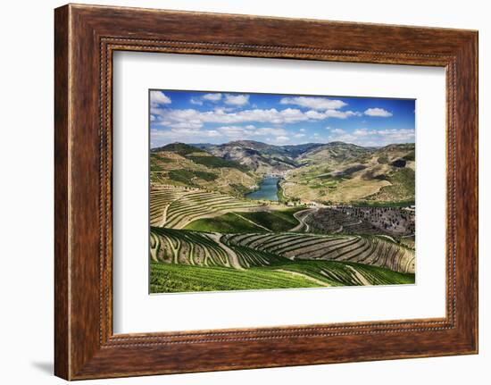 Portugal, Douro Valley, Terraced Vineyards Lining the Hills-Terry Eggers-Framed Photographic Print