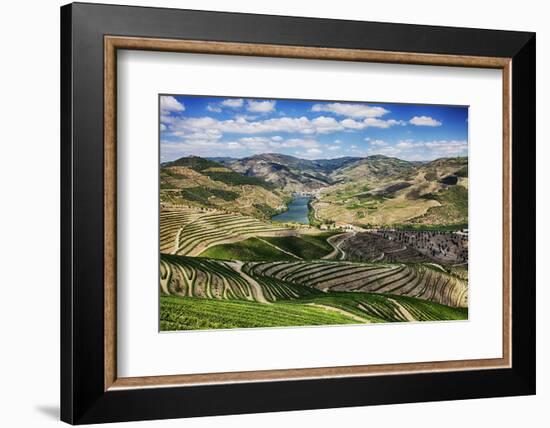 Portugal, Douro Valley, Terraced Vineyards Lining the Hills-Terry Eggers-Framed Photographic Print