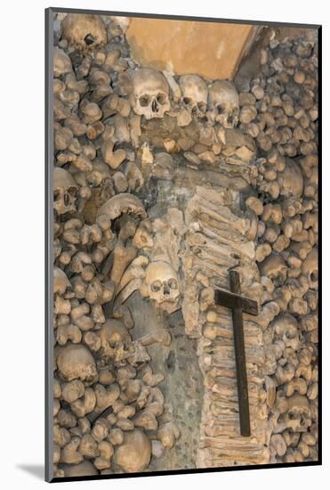 Portugal, Evora, St. Francis Church, Bone Chapel-Jim Engelbrecht-Mounted Photographic Print