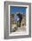 Portugal, Figueira de Castelo Rodrigo, Entrance to Town-Jim Engelbrecht-Framed Photographic Print