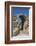 Portugal, Figueira de Castelo Rodrigo, Entrance to Town-Jim Engelbrecht-Framed Photographic Print