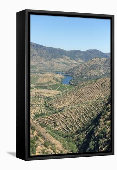 Portugal, Figueira de Castelo Rodrigo, View of Douro River Valley-Jim Engelbrecht-Framed Premier Image Canvas