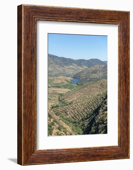 Portugal, Figueira de Castelo Rodrigo, View of Douro River Valley-Jim Engelbrecht-Framed Photographic Print