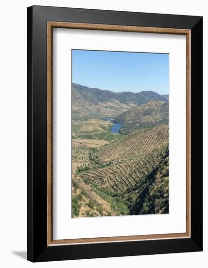 Portugal, Figueira de Castelo Rodrigo, View of Douro River Valley-Jim Engelbrecht-Framed Photographic Print