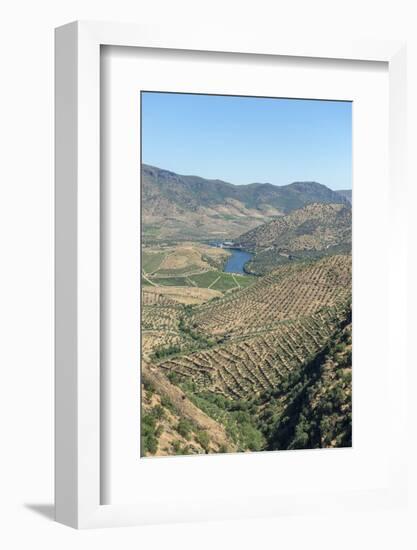 Portugal, Figueira de Castelo Rodrigo, View of Douro River Valley-Jim Engelbrecht-Framed Photographic Print