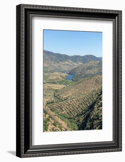 Portugal, Figueira de Castelo Rodrigo, View of Douro River Valley-Jim Engelbrecht-Framed Photographic Print