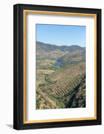 Portugal, Figueira de Castelo Rodrigo, View of Douro River Valley-Jim Engelbrecht-Framed Photographic Print