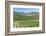 Portugal, Figueira de Castelo Rodrigo, Vineyards-Jim Engelbrecht-Framed Photographic Print