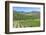 Portugal, Figueira de Castelo Rodrigo, Vineyards-Jim Engelbrecht-Framed Photographic Print