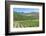 Portugal, Figueira de Castelo Rodrigo, Vineyards-Jim Engelbrecht-Framed Photographic Print