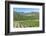 Portugal, Figueira de Castelo Rodrigo, Vineyards-Jim Engelbrecht-Framed Photographic Print