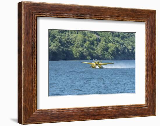 Portugal, Firefighting Water Aircraft on Douro River-Jim Engelbrecht-Framed Photographic Print