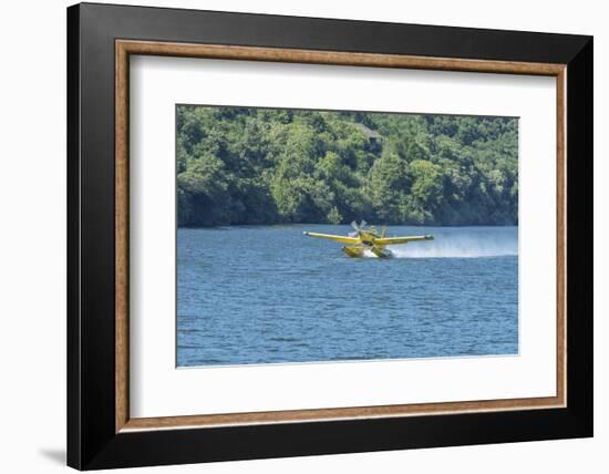 Portugal, Firefighting Water Aircraft on Douro River-Jim Engelbrecht-Framed Photographic Print