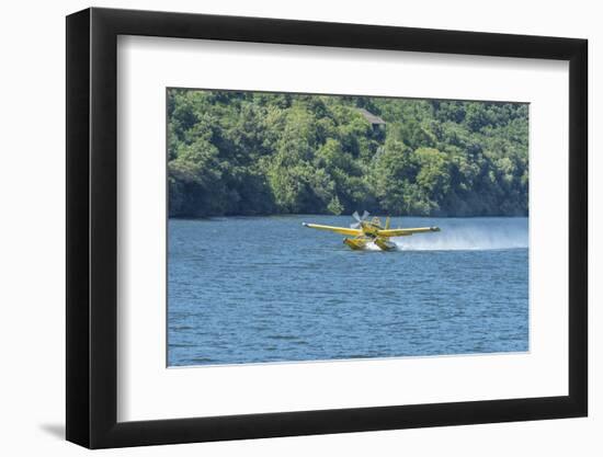 Portugal, Firefighting Water Aircraft on Douro River-Jim Engelbrecht-Framed Photographic Print