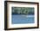 Portugal, Firefighting Water Aircraft on Douro River-Jim Engelbrecht-Framed Photographic Print