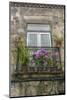 Portugal, Guimaraes, Flowers on Balcony Outside Window-Jim Engelbrecht-Mounted Photographic Print