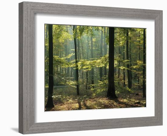 Portugal, Lisbon, Tejo, Bridge 'Ponte 25 De Abril', Cristo Rei Monument-Thonig-Framed Photographic Print