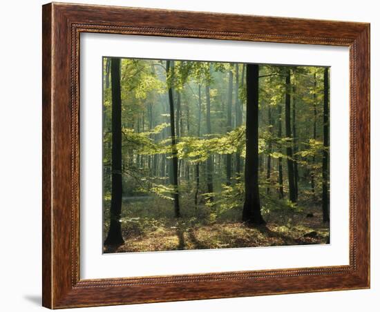 Portugal, Lisbon, Tejo, Bridge 'Ponte 25 De Abril', Cristo Rei Monument-Thonig-Framed Photographic Print