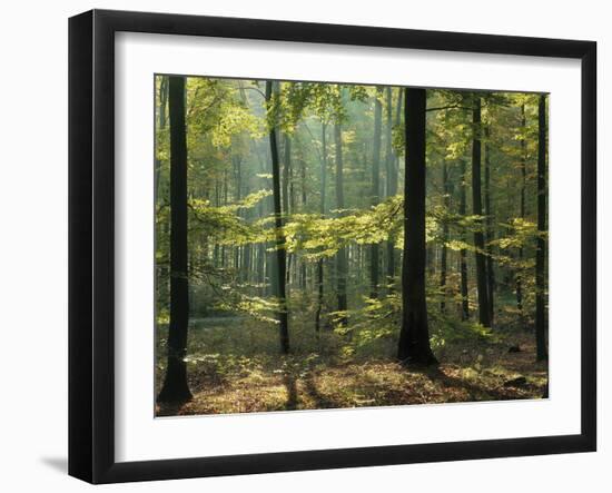 Portugal, Lisbon, Tejo, Bridge 'Ponte 25 De Abril', Cristo Rei Monument-Thonig-Framed Photographic Print