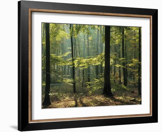 Portugal, Lisbon, Tejo, Bridge 'Ponte 25 De Abril', Cristo Rei Monument-Thonig-Framed Photographic Print