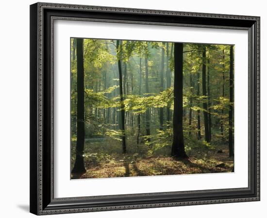 Portugal, Lisbon, Tejo, Bridge 'Ponte 25 De Abril', Cristo Rei Monument-Thonig-Framed Photographic Print