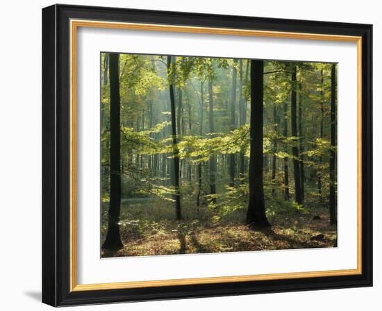 Portugal, Lisbon, Tejo, Bridge 'Ponte 25 De Abril', Cristo Rei Monument-Thonig-Framed Photographic Print