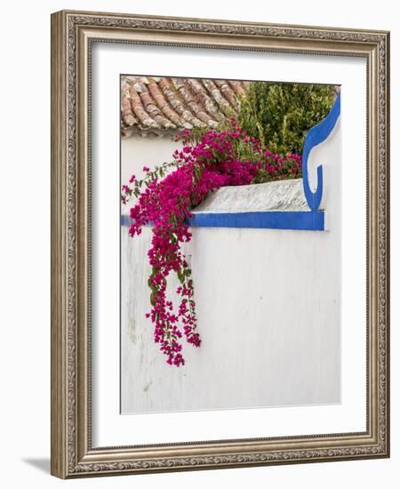 Portugal, Obidos. Beautiful bougainvillea blooming in the town of Obidos, Portugal.-Julie Eggers-Framed Photographic Print