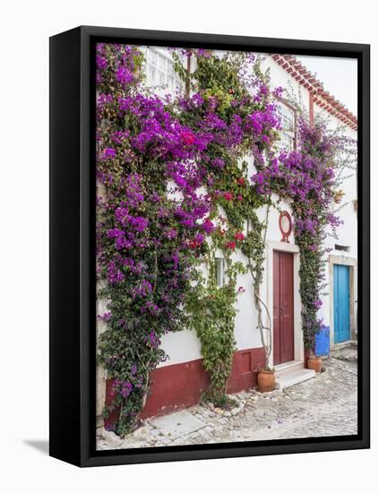 Portugal, Obidos. Beautiful bougainvillea blooming in the town of Obidos, Portugal.-Julie Eggers-Framed Premier Image Canvas