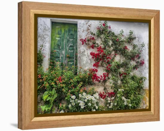 Portugal, Obidos. Flowers growing on wall of house with green door-Terry Eggers-Framed Premier Image Canvas