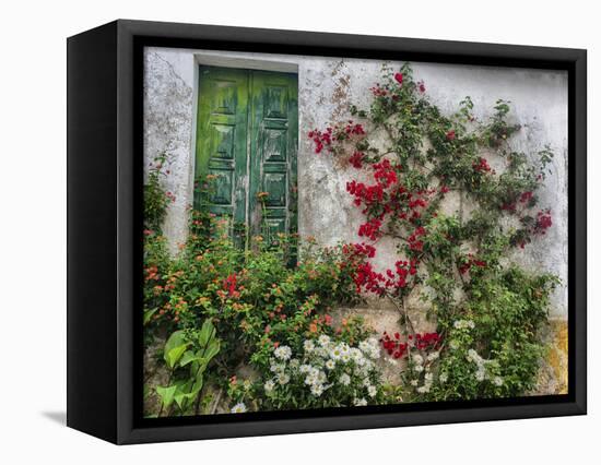 Portugal, Obidos. Flowers growing on wall of house with green door-Terry Eggers-Framed Premier Image Canvas