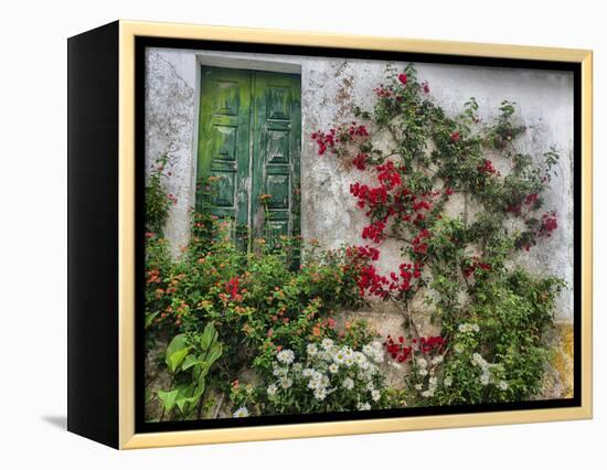 Portugal, Obidos. Flowers growing on wall of house with green door-Terry Eggers-Framed Premier Image Canvas