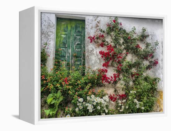 Portugal, Obidos. Flowers growing on wall of house with green door-Terry Eggers-Framed Premier Image Canvas