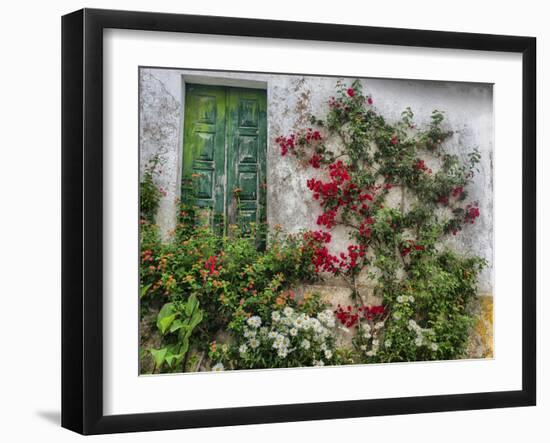 Portugal, Obidos. Flowers growing on wall of house with green door-Terry Eggers-Framed Photographic Print