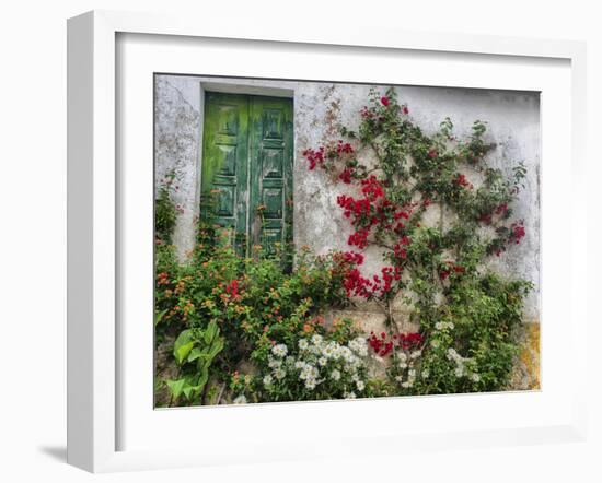 Portugal, Obidos. Flowers growing on wall of house with green door-Terry Eggers-Framed Photographic Print