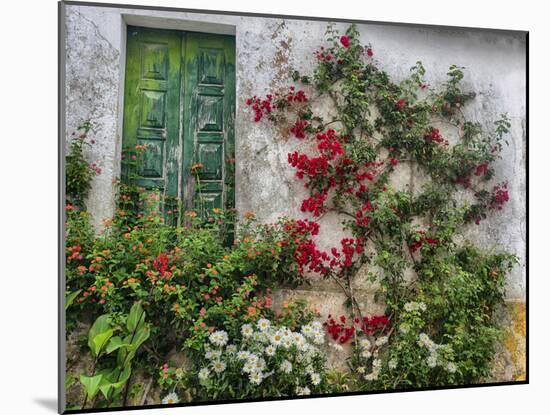 Portugal, Obidos. Flowers growing on wall of house with green door-Terry Eggers-Mounted Photographic Print