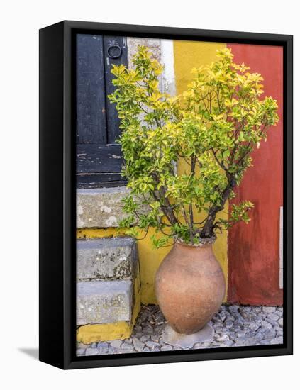 Portugal, Obidos. Potted plant in front of colorful entrance to a home in the hill town of Obidos.-Julie Eggers-Framed Premier Image Canvas