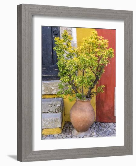 Portugal, Obidos. Potted plant in front of colorful entrance to a home in the hill town of Obidos.-Julie Eggers-Framed Photographic Print