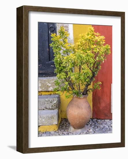 Portugal, Obidos. Potted plant in front of colorful entrance to a home in the hill town of Obidos.-Julie Eggers-Framed Photographic Print