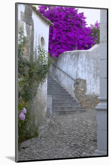 Portugal, Obidos, Street of the Old Walls of Town-Terry Eggers-Mounted Photographic Print